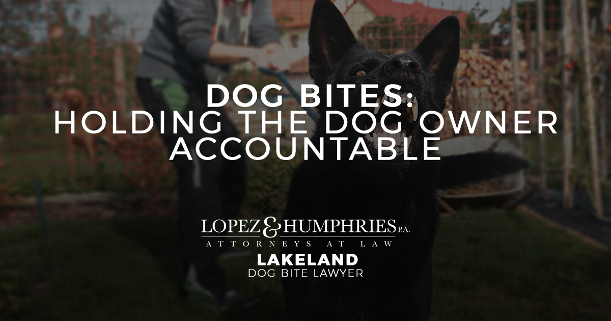 Dog Bites: Holding the Dog Owner Accountable