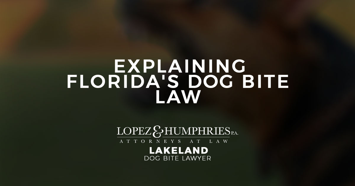 Explaining Florida’s Dog Bite Law