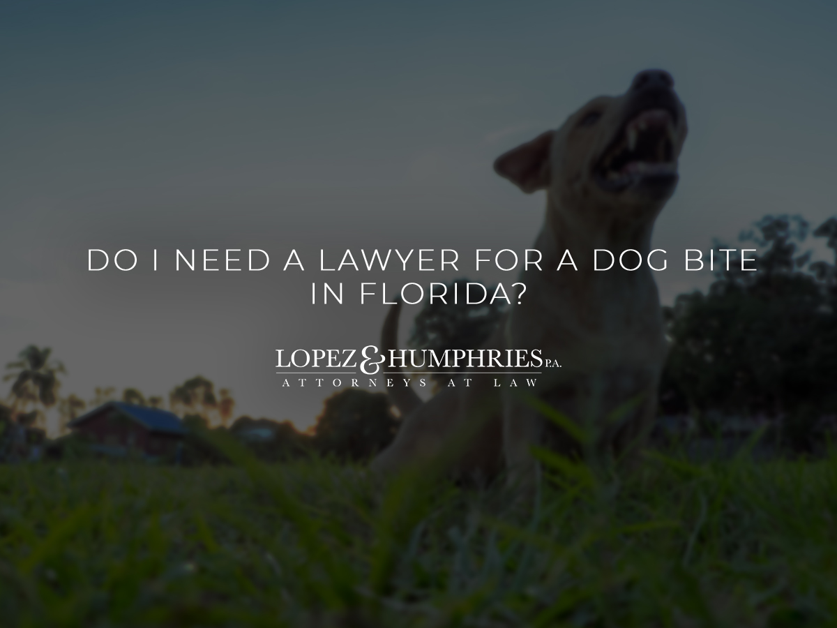 Do I Need a Lawyer for a Dog Bite in Florida?