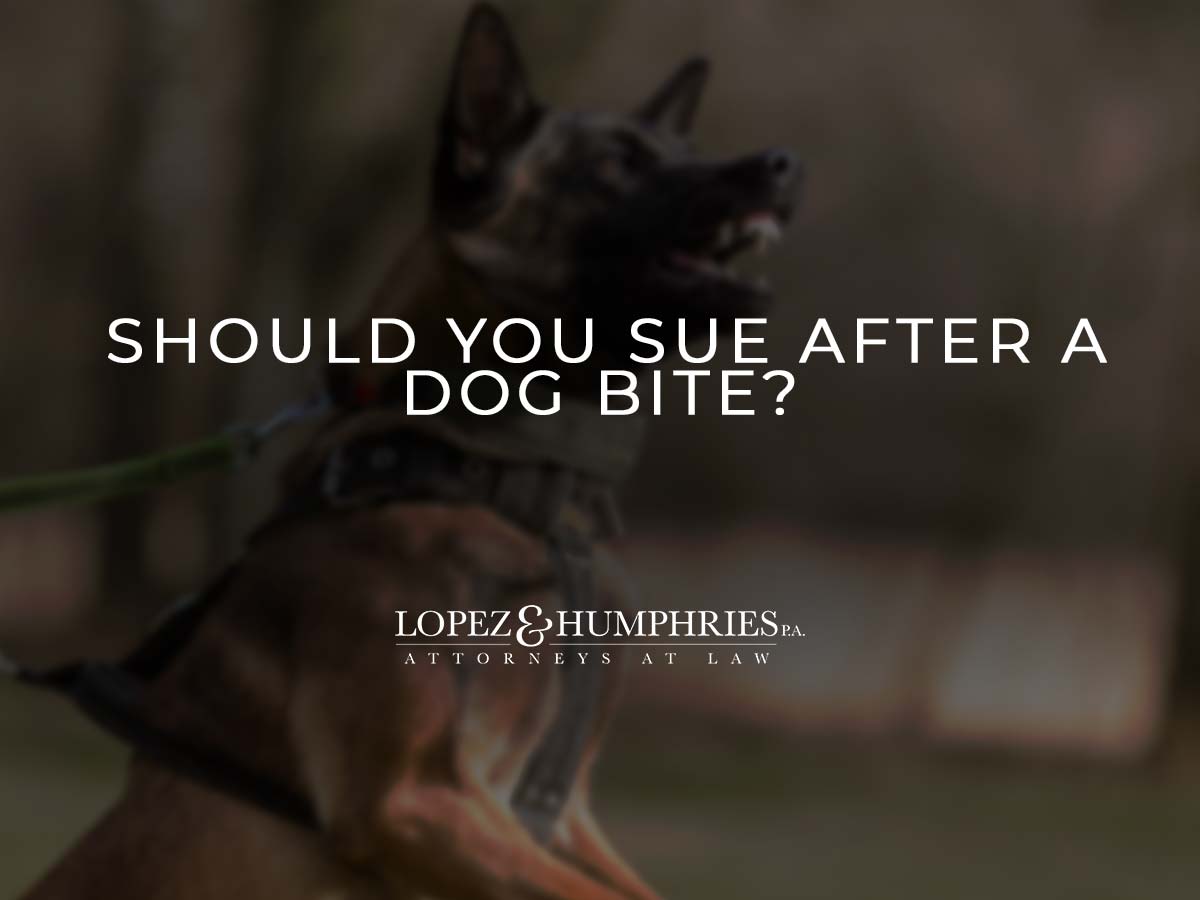 Should You Sue After a Dog Bite?