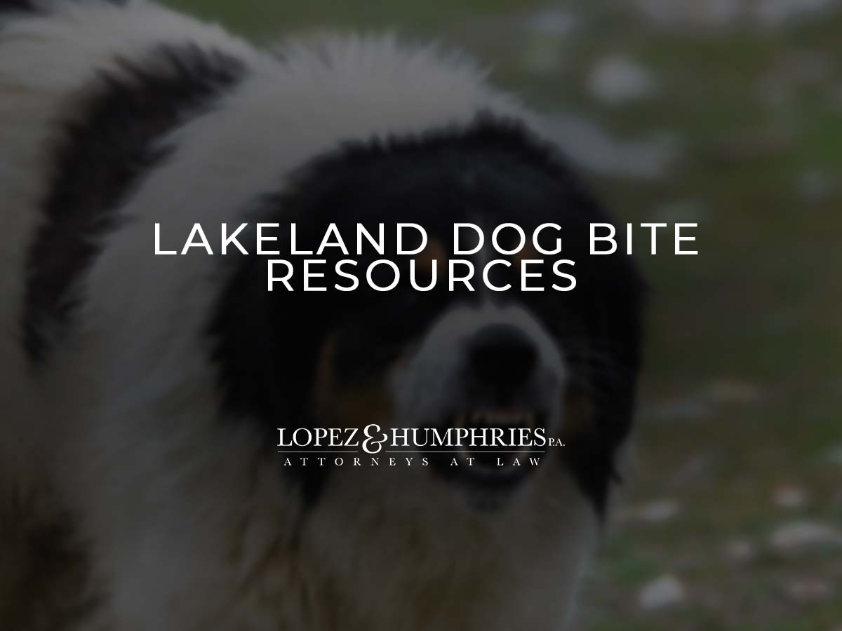 Lakeland Dog Bite Resources