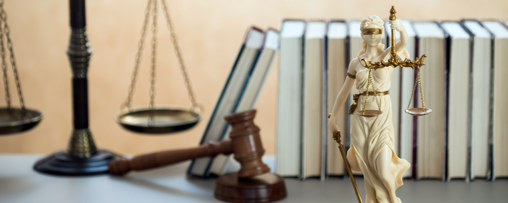 Documented Results in High-Value Cases